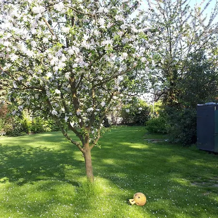 Ferienwohnung in ruhiger Dorflage Nähe Bad Bevensen Natendorf Exterior foto